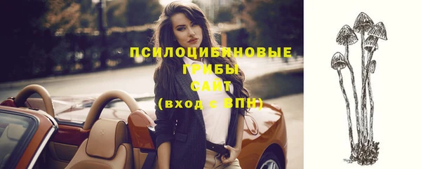 винт Нефтегорск
