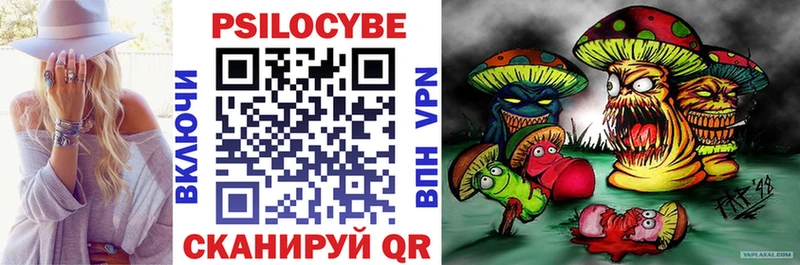 блэк спрут ССЫЛКА  Пойковский  Галлюциногенные грибы Cubensis  где купить  